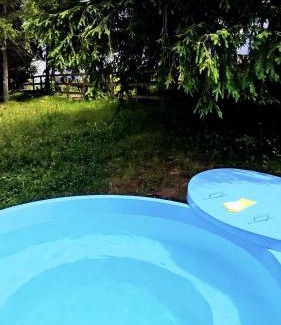 Marisel Cabin | Family-Friendly Agropensiunea Mara with 9.5/10 Rating