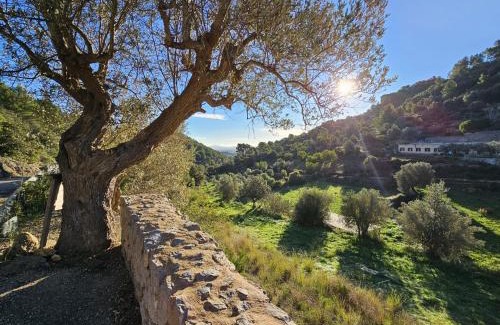 Alaro House | Explore Agroturismo Finca Can Sec with Ocean View & Spa