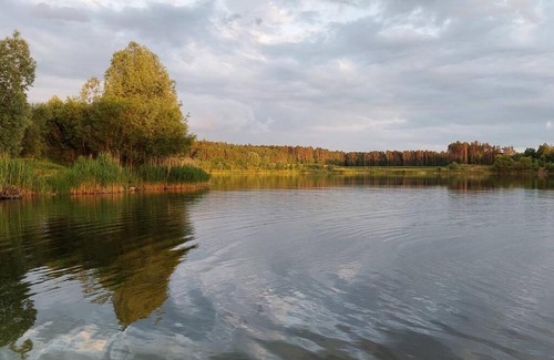 Miszewko Apartment | Guest Rated 10/10: Agroturystka przy lesie Retreat
