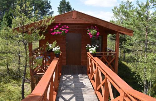 Brodnica Dolna Apartment | Discover Agroturystyka Żabi Dwór: Family-Friendly Retreat