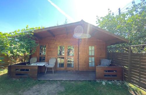 Sierakow House | Explore Agroturystyka Gawra: Pet-Friendly Retreat in Nature