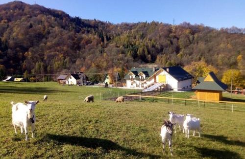 Polany House | Family-Friendly Retreat at Agroturystyka Królowo