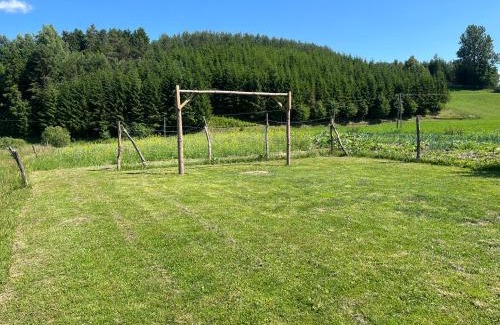 Wizajny Resort | Unforgettable Stays at Agroturystyka Radzewicz - 10/10 Score
