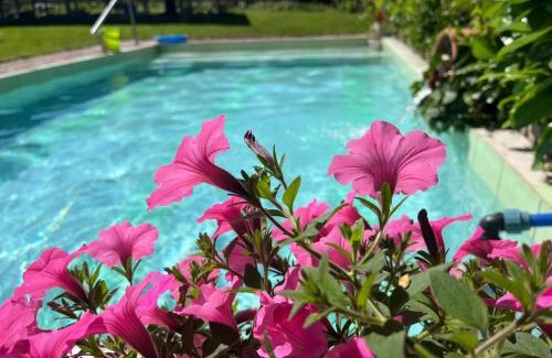 Gierczyn House | Cozy Agroturystyka u Strażaka: Rated 9.6 with Ocean Views