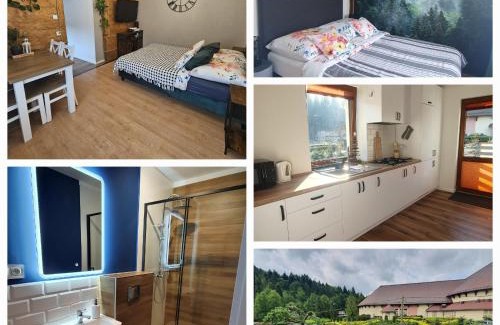Wisla Apartment | Serene Agroturystyka u Wańka: Pet & Child Friendly Haven