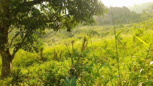 Udunuwara Hotel | Budget-Friendly Agunawala: Family Friendly Accommodations