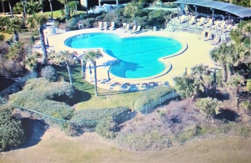 Fernandina Beach Condo | Relaxing Ocean View Retreat: Guest Rated 10/10 Experience!