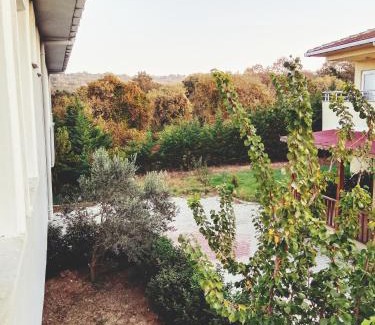 Arnavutkoy Cabin | Cozy Forest Villa: Just 5 Minutes from the Airport