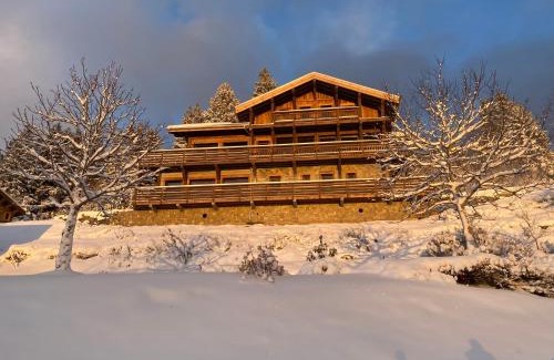 Gerardmer Ski Chalet | Experience Aigle des Neiges: 9.9 Rated Oceanfront Retreat