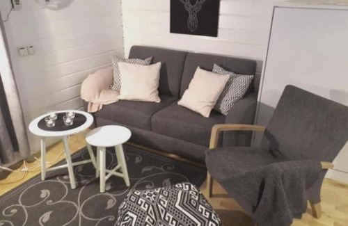 Yllasjarvi Apartment | Cozy Aikku Cabin in Lapland with Free Kota Access