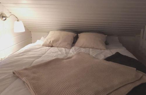 Yllasjarvi Apartment | Cozy Aikku Cabin in Lapland with Free Kota Access