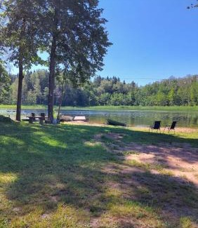 Lake Dridzis Other | Aimasas Kempings