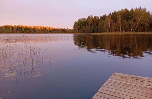 Lake Dridzis Other | Aimasas Kempings