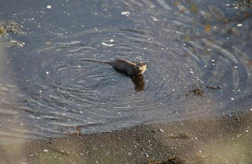 Achachork House | Experience Air an Oir - Skye Self Catering: 5-Star Retreat