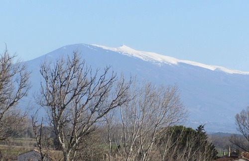 Bedarrides Apartment | air-conditioned apartment, 200m from the village, all shops, quiet, shaded.