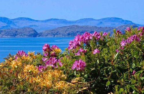 Strathcarron House | Oceanfront Airdaniar Cottage: Guest Rated 9.5/10