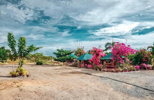 Vigan Hotel | Top-Rated Airport View Hotel with Pet-Friendly Amenities