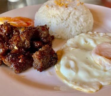 Vigan Hotel | Top-Rated Airport View Hotel with Pet-Friendly Amenities