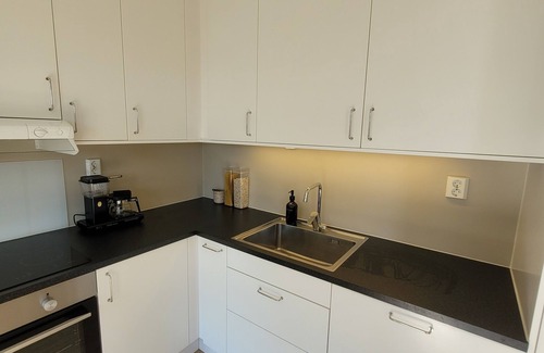 Ski Apartment | Airy and light 2 bedroom apartment with WiFi in Akershus