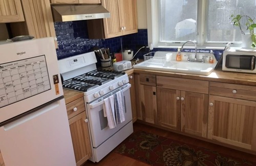 Jamaica Plain Apartment | New Airy Apartment for 2-6 Near Shops and Dining