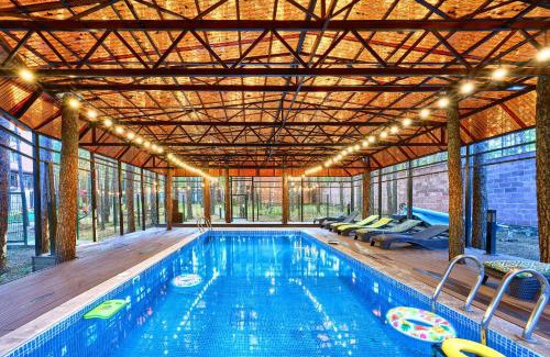 Schuchinsk Hotel | Timber Hotel: Oceanfront Escape with Pool and Spa