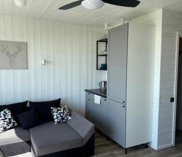 Klaipeda District Municipality Apartment | Pet-Friendly Aitvarai 41: Rated 9/10 for Families