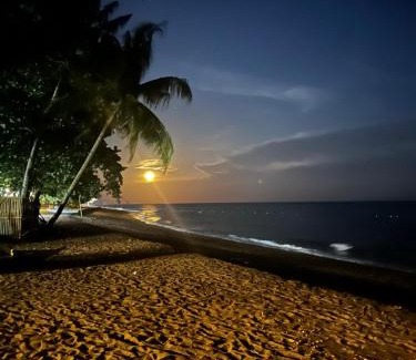 Dauin Resort | AivyMaes Divers Resort: Oceanfront Retreat with Breakfast
