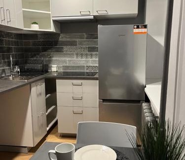 Zemgale Apartment | Cozy Aizkraukle Penthouse Apartment for Families