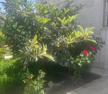 Ajloun House | Discover Ajloun Rest House: Family-Friendly Retreat Awaits