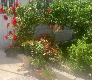 Ajloun House | Discover Ajloun Rest House: Family-Friendly Retreat Awaits