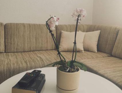 Jajce Apartment | Guest Rated 10/10: Ajsha Guesthouse with Hot Tub & Breakfast