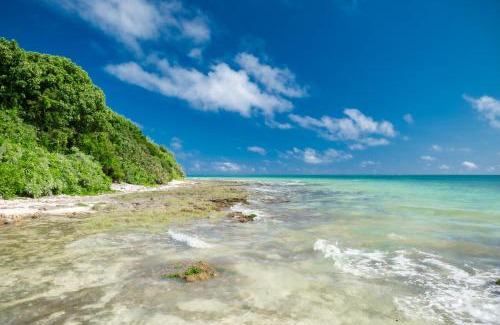 Miyara House | AK Resort ISHIGAKI: Family-Friendly Escape with Pool