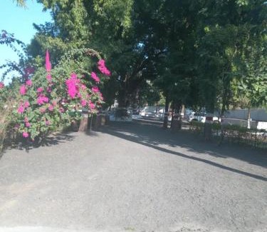 Rehli Resort | Akash Avin Resort , Naharmau