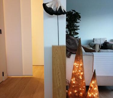 Zandvoorde House | Akkerland: Relaxing Infra-red Sauna & Family-Friendly Amenities