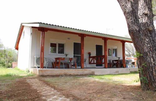 Ormos Panagias House | Pet-Friendly AKstudios To Spitaki with Ocean Views