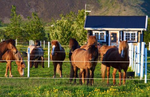 Sveitarfelagid Olfus House | Guest Rated 10/10: Akurgerði Guesthouse with Hot Tub