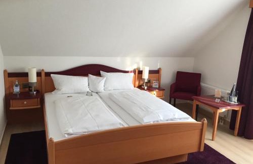 Dorsten Hotel | Pet-Friendly Akzent Hotel-Restaurant Albert with Hot Tub
