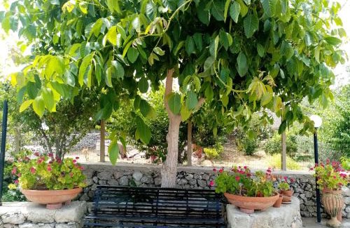 Testa dell'Acqua House | Discover Al Carosello: Pet-Friendly with Breakfast & Hot Tub