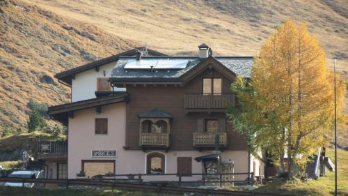 Trepalle Apartment | Al Dos: Rated 9.3/10, Perfect for Families and Pets