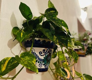 Almodovar del Rio Bed & Breakfast | Discover Al-Mudawar Casa Rural: Pet-Friendly Retreat
