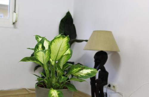 Jaen Apartment | Convenient Stay at Al pie del Camarín with Free Parking