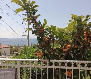 Roiano-Gretta-Barcola-Cologna-Scorcola House | Pet-Friendly Al Porticciolo with 9.1/10 Guest Rating