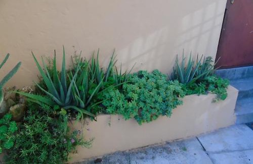 Roiano-Gretta-Barcola-Cologna-Scorcola House | Pet-Friendly Al Porticciolo with 9.1/10 Guest Rating