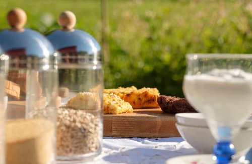 Serramazzoni Bed & Breakfast | Discover Al Sasseto B&B: Pet-Friendly with Breakfast Included