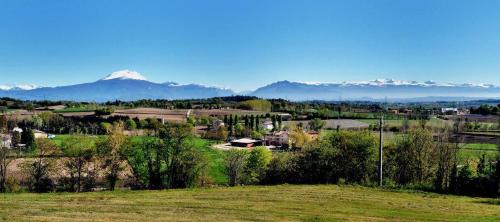 Monzambano House | Experience Al Torcol Agriturismo: Pet-Friendly Retreat