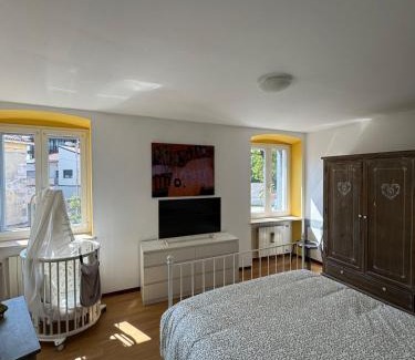 Gorizia Apartment | Al vecchio convento, centro storico