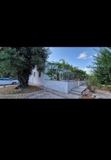 Fasano House | Idyllic Oceanfront Stay at Al Vecchio Ulivo - Rated 9.6/10
