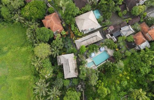 Nyuh Kuning Resort | Discover Alam Jiwa Ubud: 4-Star Retreat with Pool & Breakfast