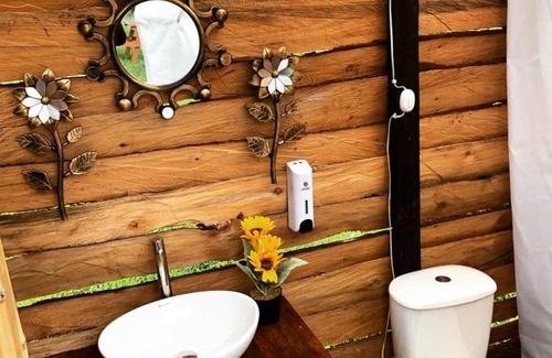 Sesquile Other | Pet-Friendly Alaska Glamping Domos y Cabañas Awaits