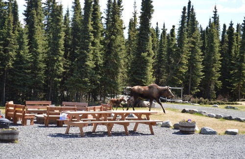 Sterling Cabin | Alaska Red Fish Lodge Furnished Cabin #12